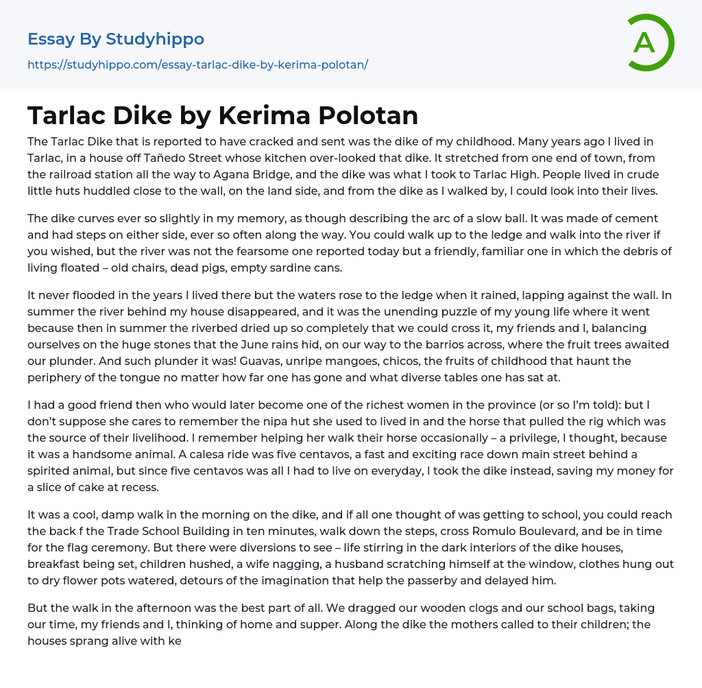 Tarlac Dike by Kerima Polotan Essay Example