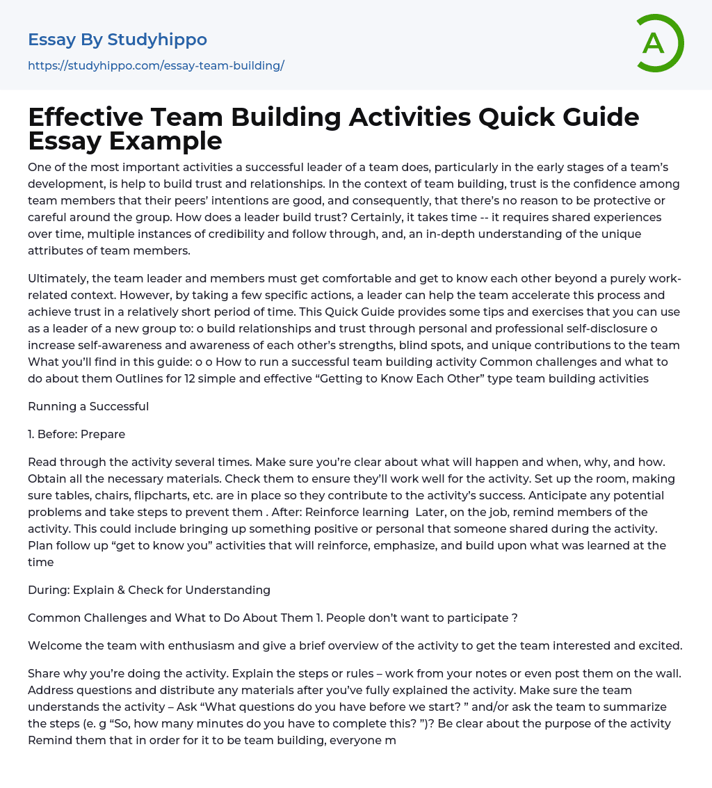 Effective Team Building Activities Quick Guide Essay Example