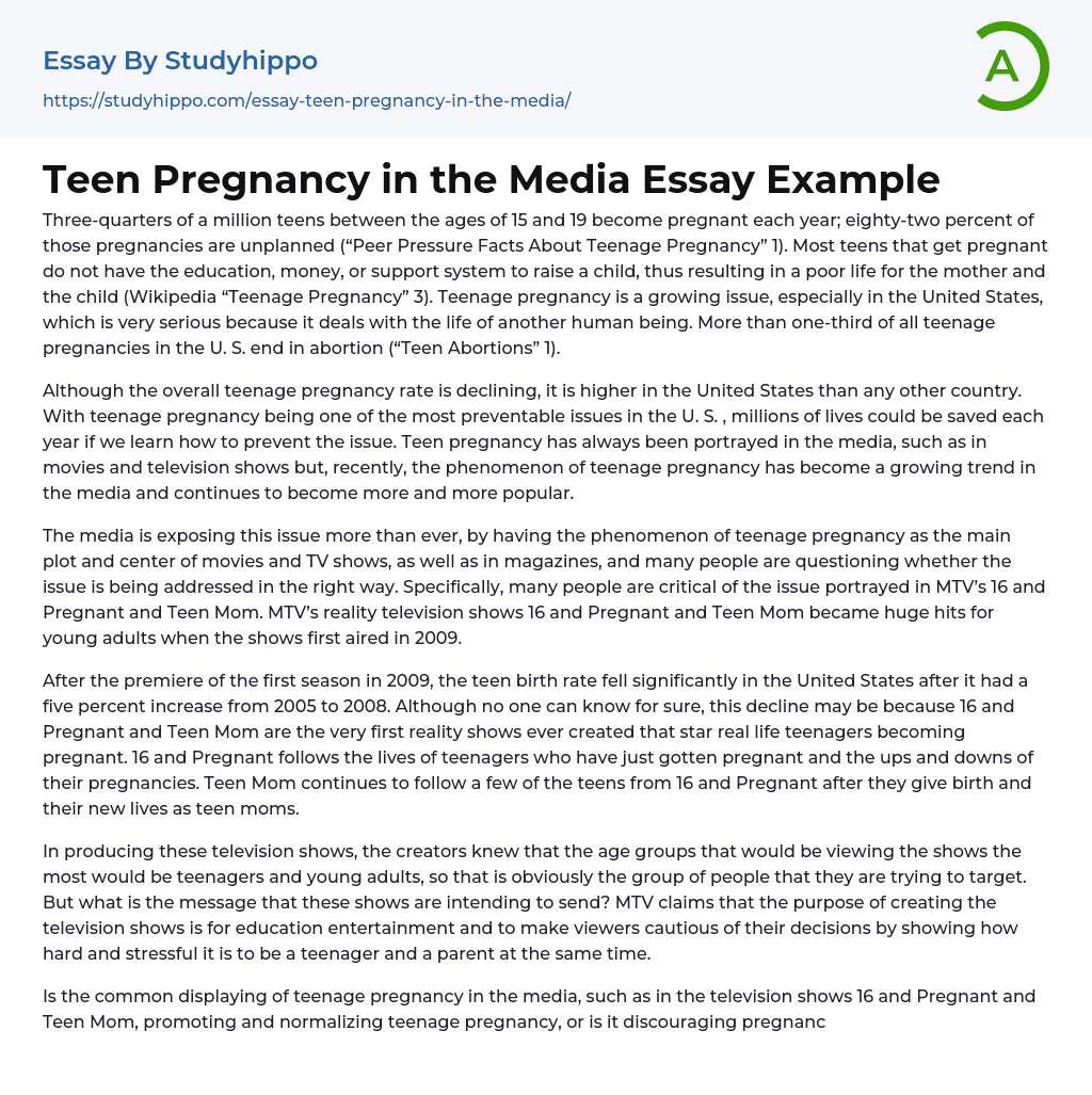 Teen Pregnancy in the Media Essay Example