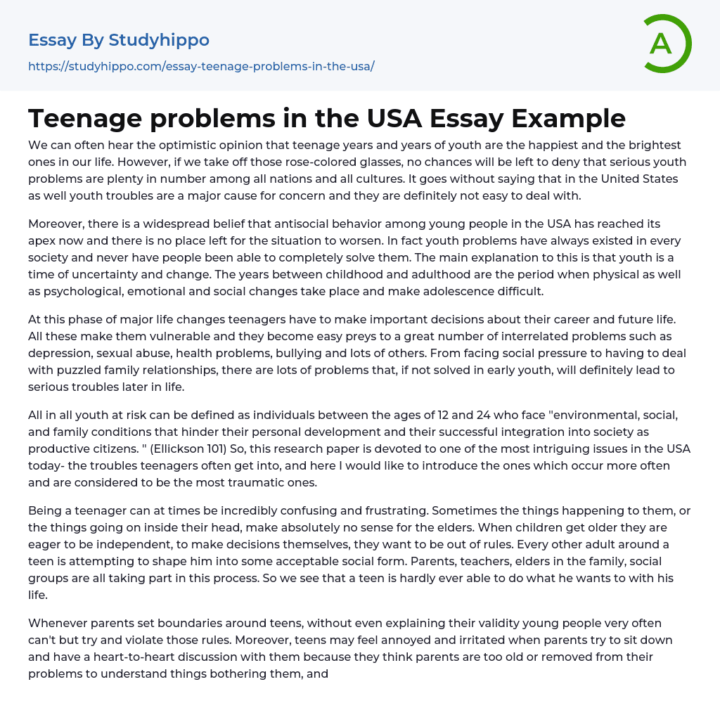 Teenage problems in the USA Essay Example