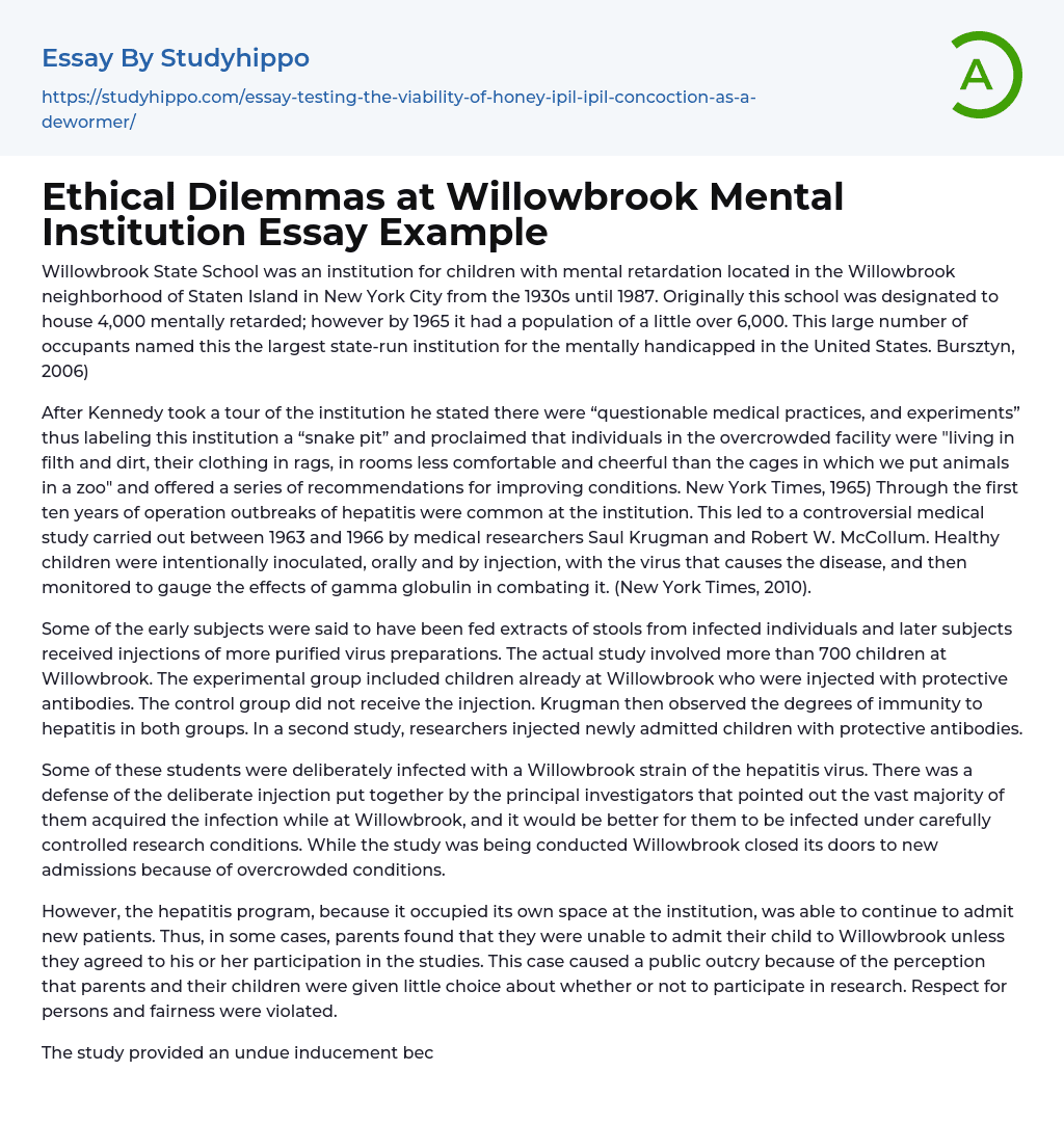 Ethical Dilemmas at Willowbrook Mental Institution Essay Example