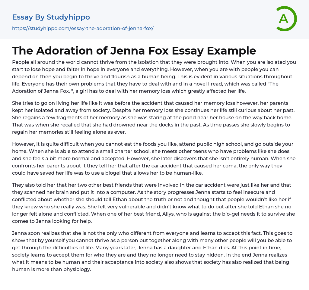 The Adoration of Jenna Fox Essay Example