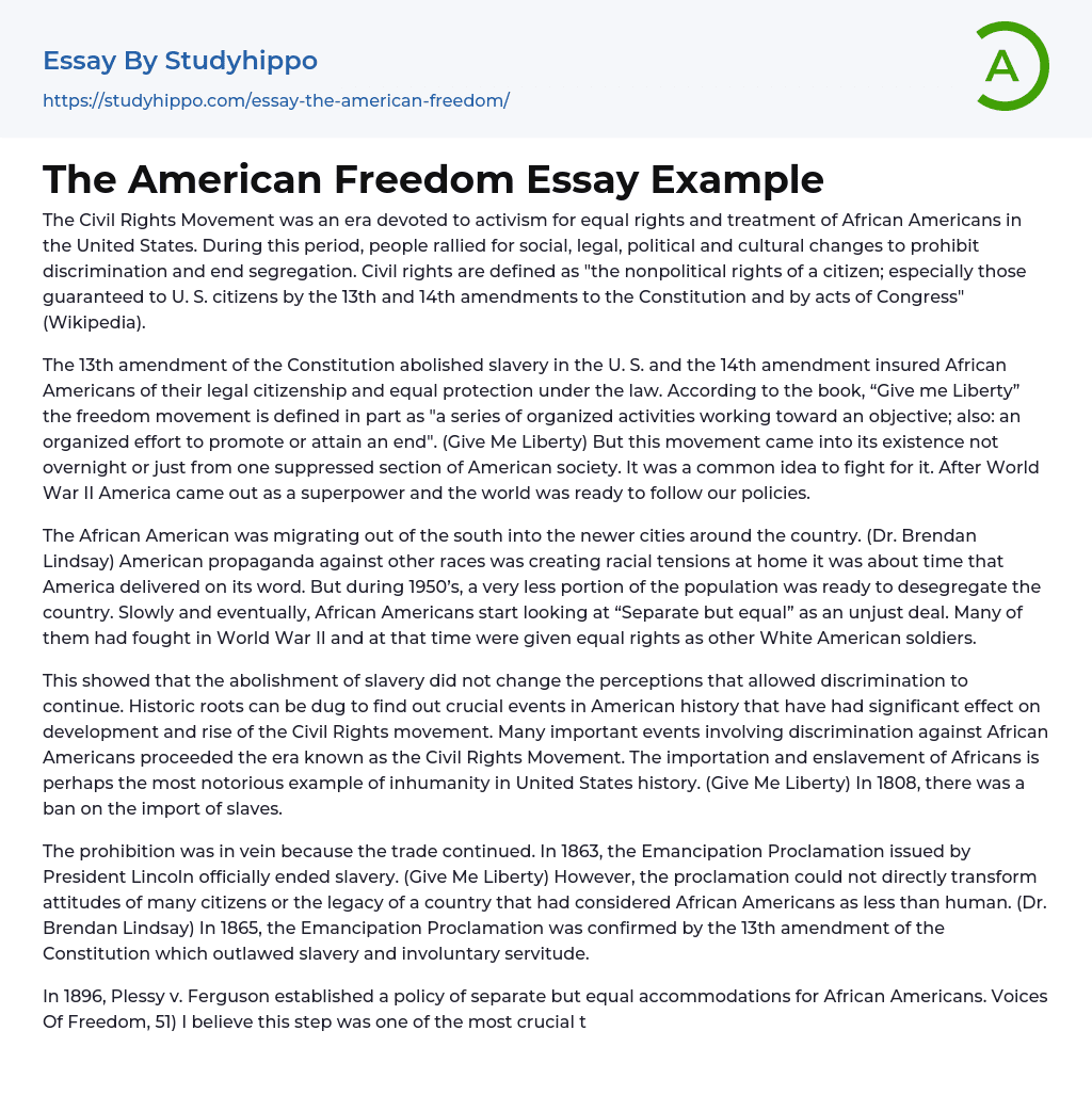 The American Freedom Essay Example