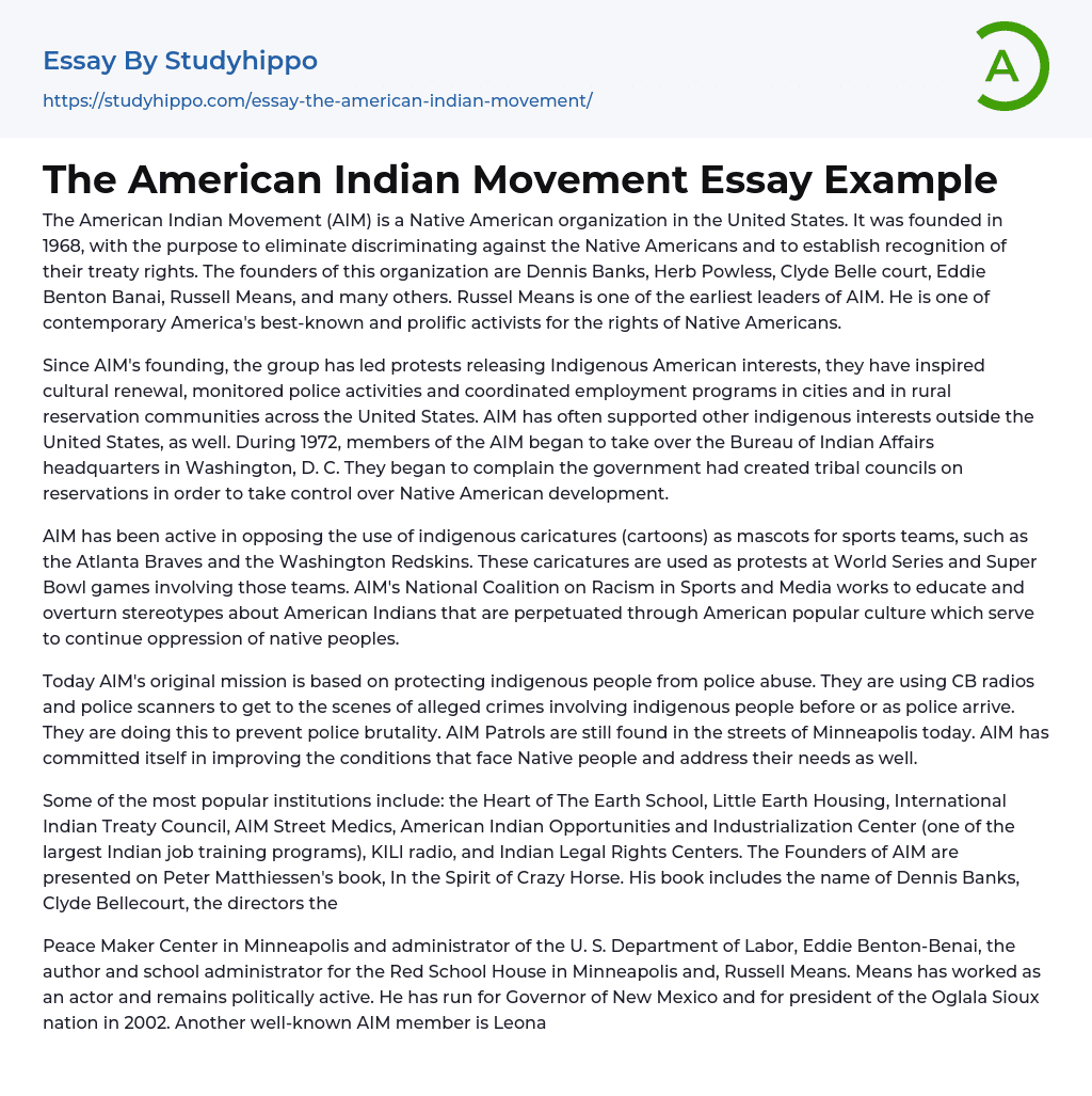 The American Indian Movement Essay Example
