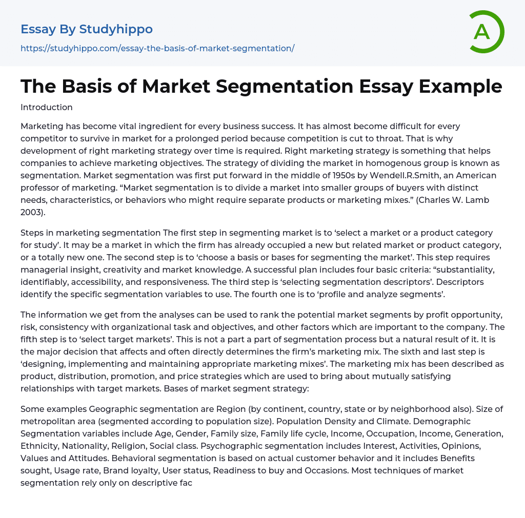 The Basis of Market Segmentation Essay Example