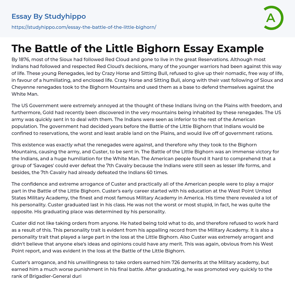The Battle of the Little Bighorn Essay Example