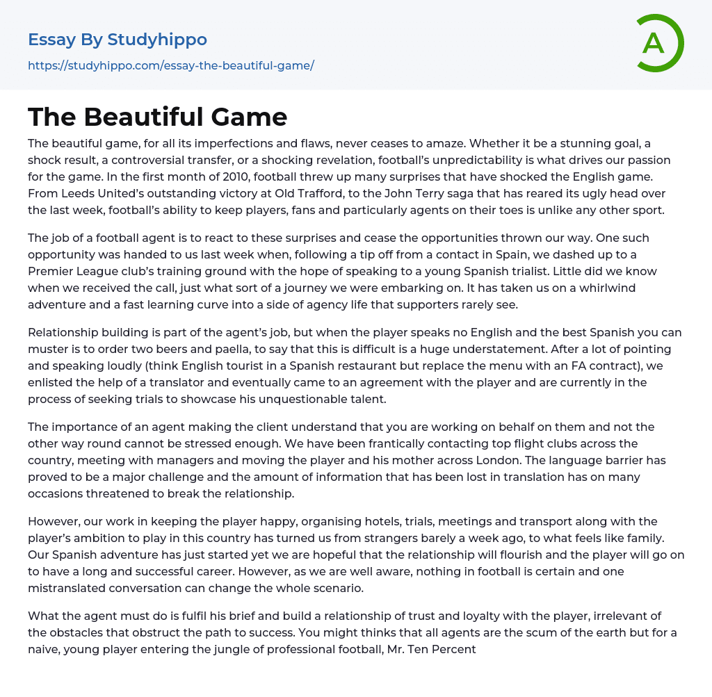 The Beautiful Game Essay Example