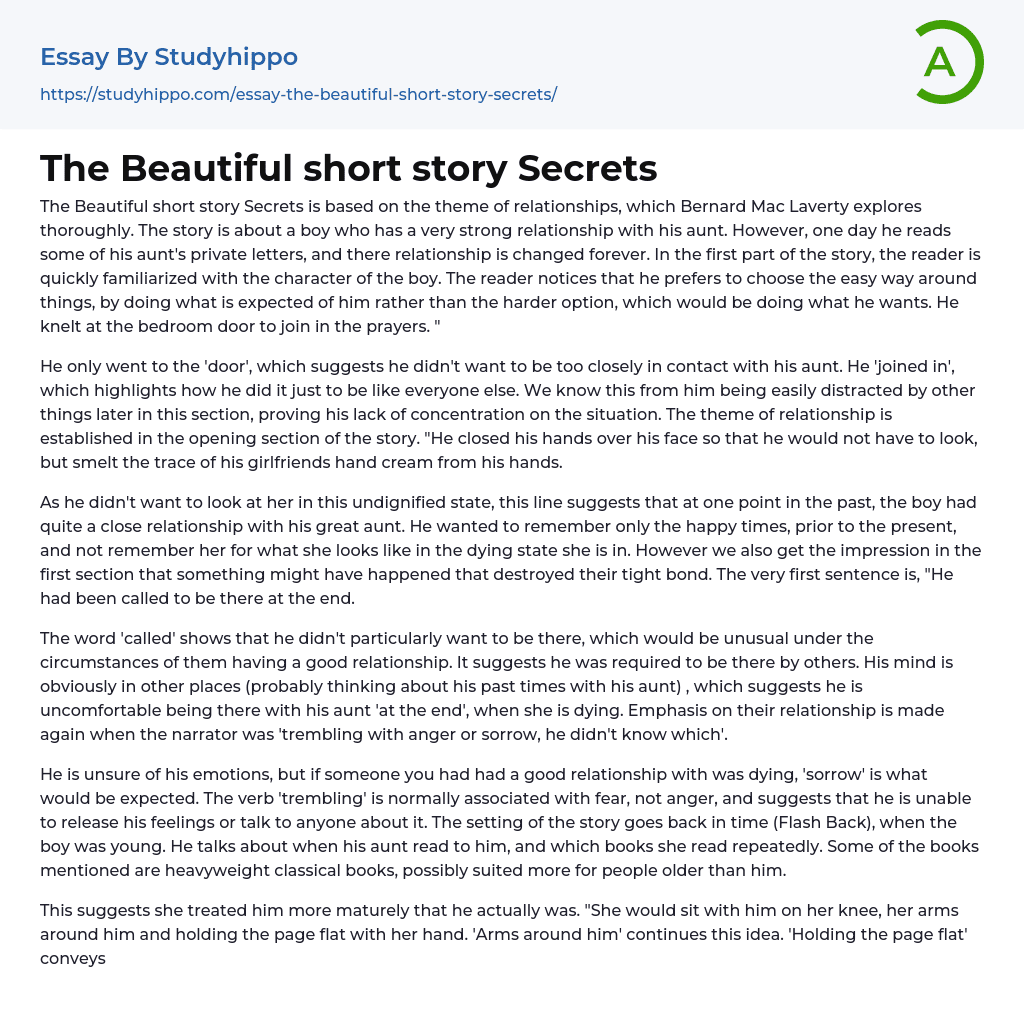 The Beautiful short story Secrets Essay Example
