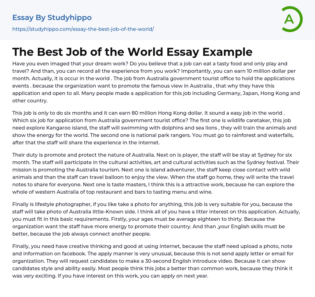 The Best Job of the World Essay Example