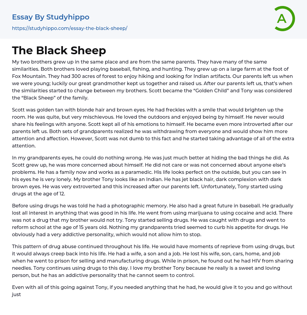 The Black Sheep Essay Example