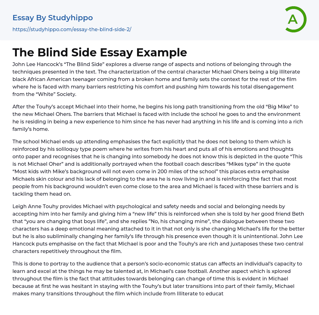 The Blind Side Essay Example