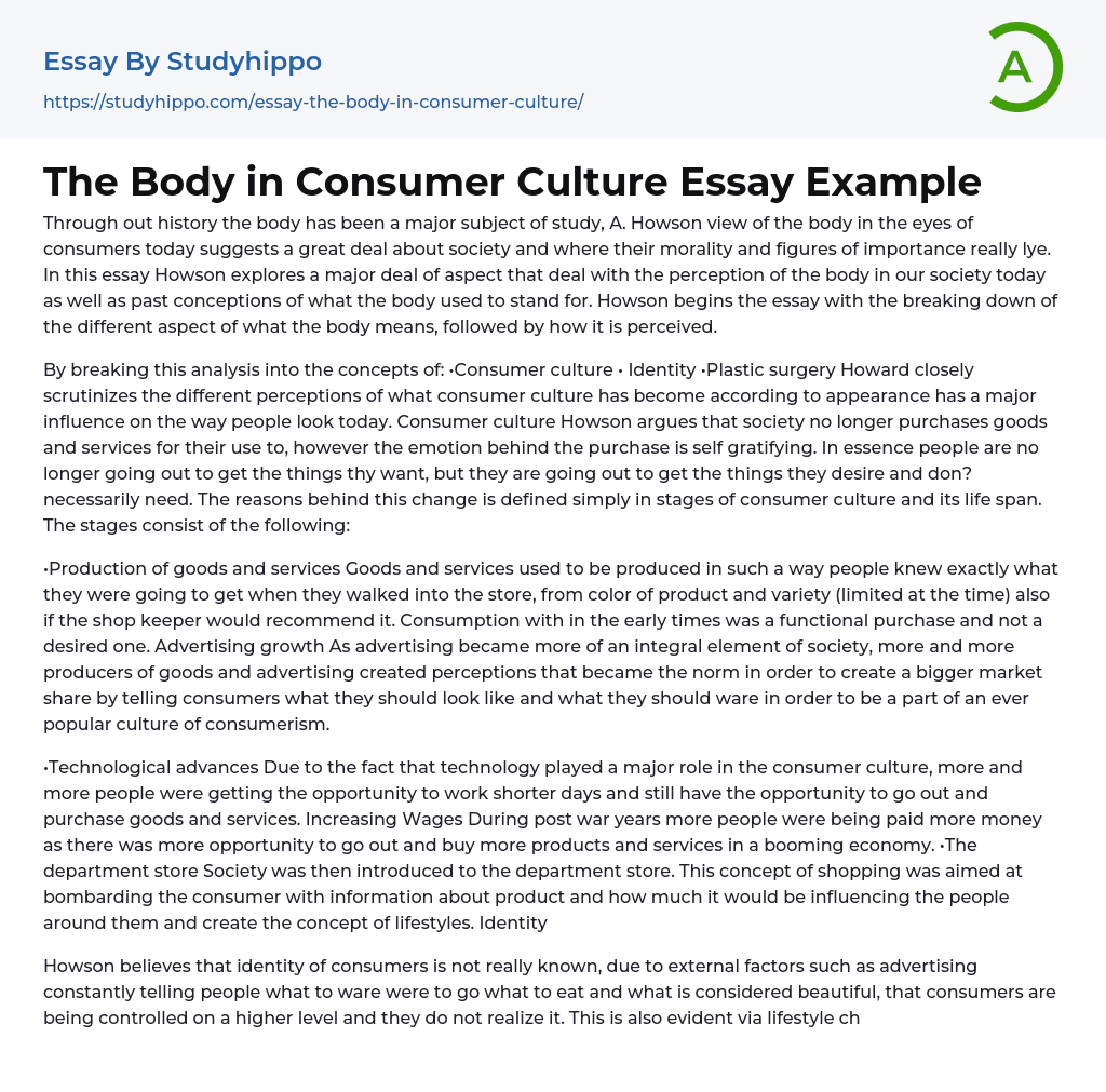 The Body in Consumer Culture Essay Example