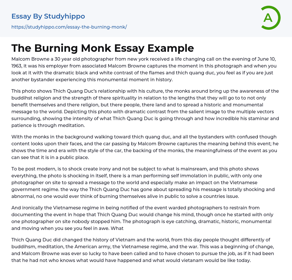 The Burning Monk Essay Example