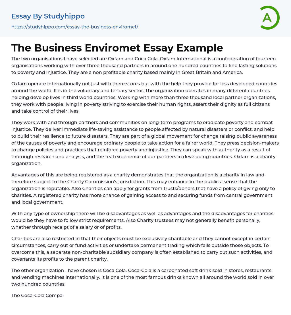 The Business Enviromet Essay Example