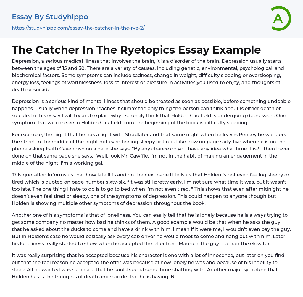 The Catcher In The Ryetopics Essay Example