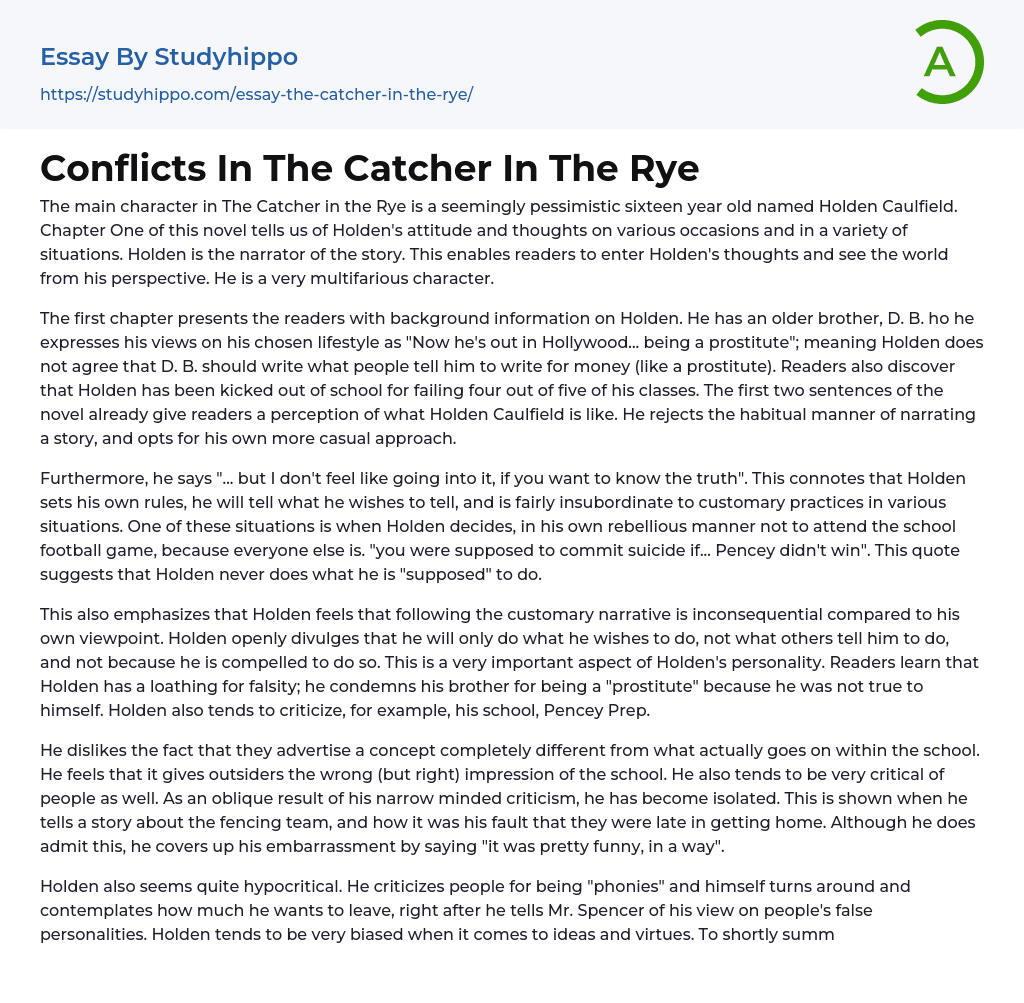 Conflicts In The Catcher In The Rye Essay Example