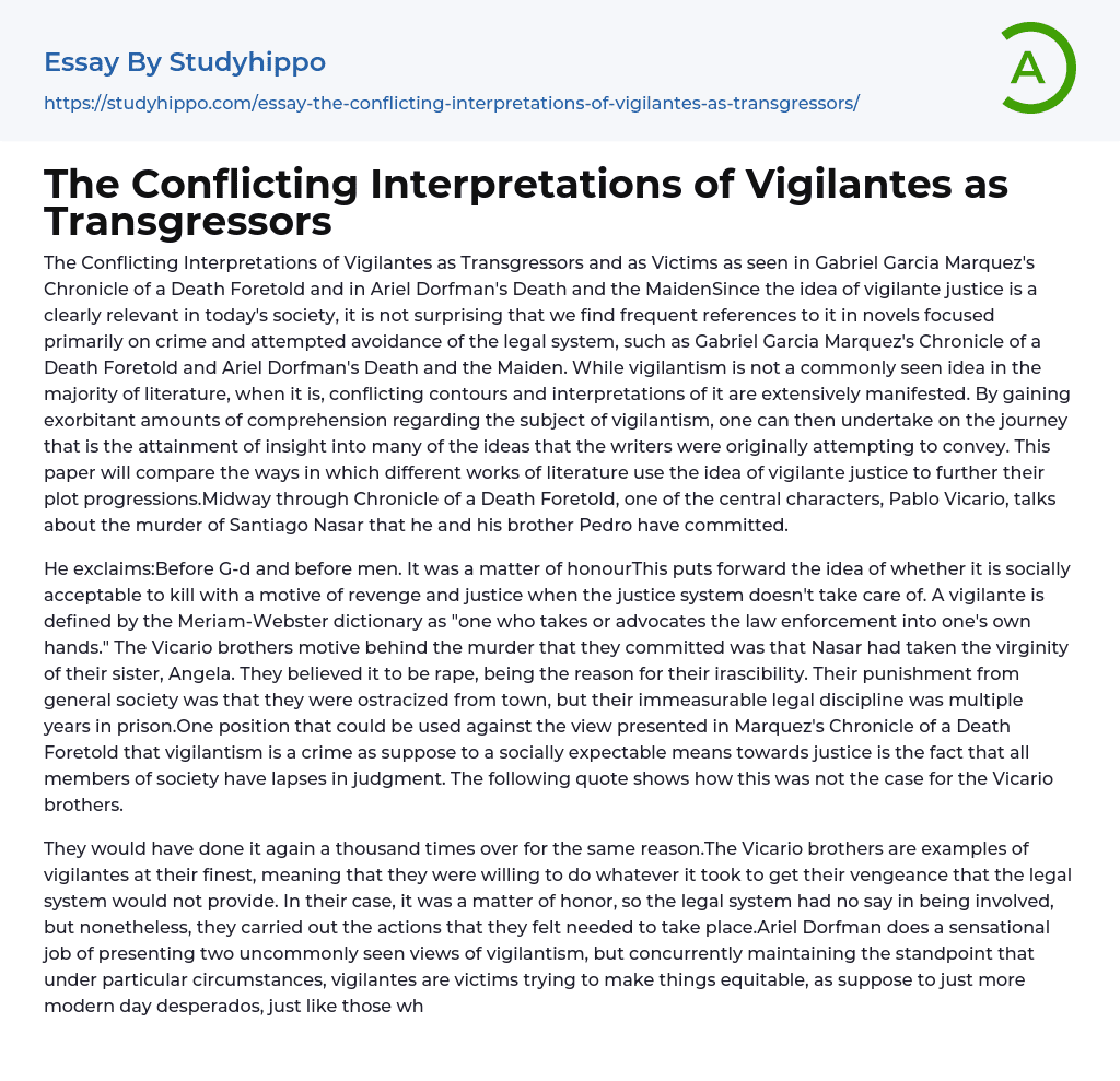 The Conflicting Interpretations of Vigilantes as Transgressors Essay Example