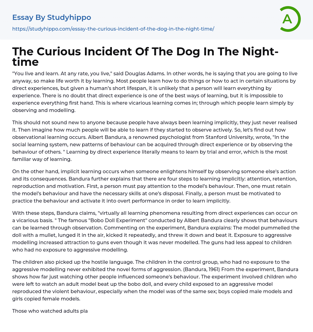 The Curious Incident Of The Dog In The Night-time Essay Example