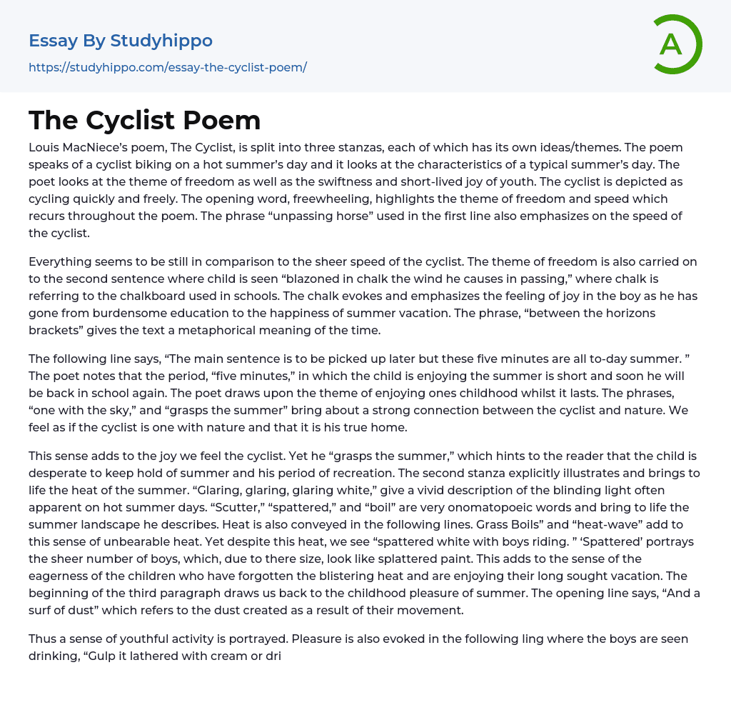 The Cyclist Poem Essay Example