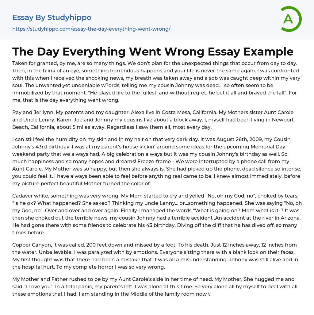 a day when everything went wrong short essay