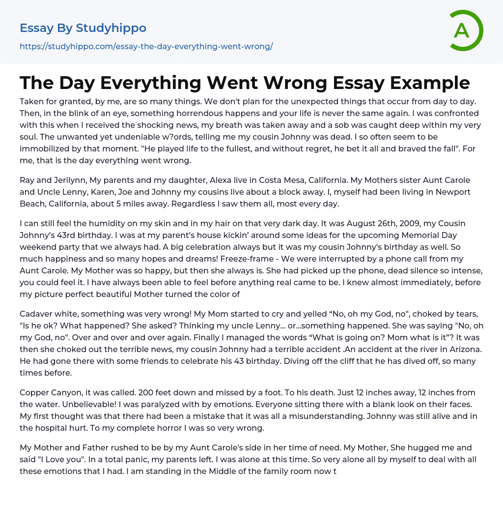 The Day Everything Went Wrong Essay Example StudyHippo