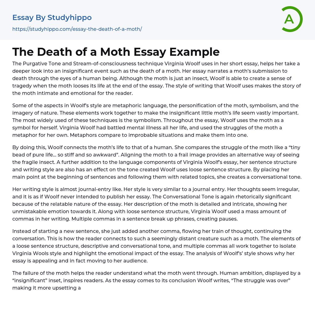 The Death of a Moth Essay Example