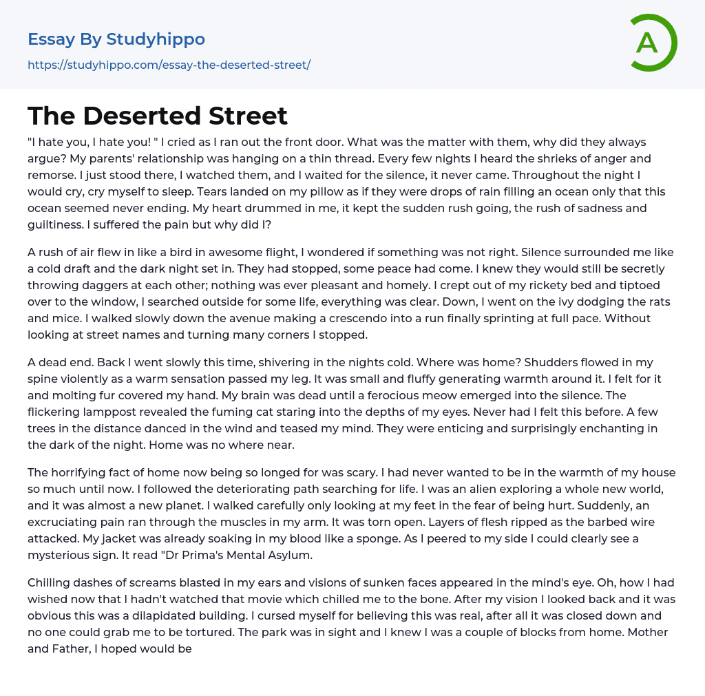 The Deserted Street Essay Example