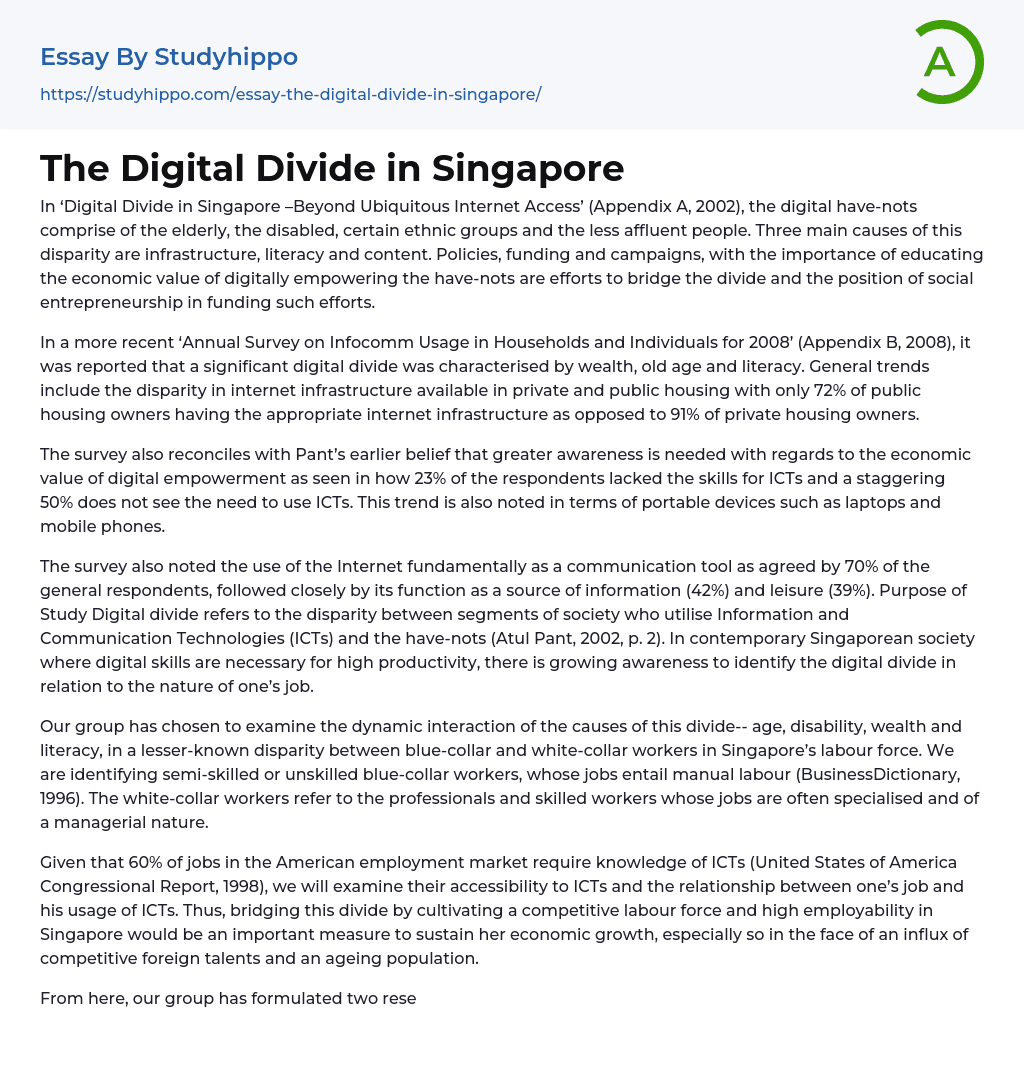 The Digital Divide in Singapore Essay Example
