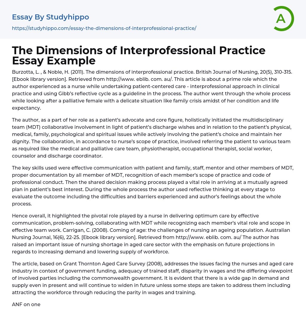 The Dimensions of Interprofessional Practice Essay Example