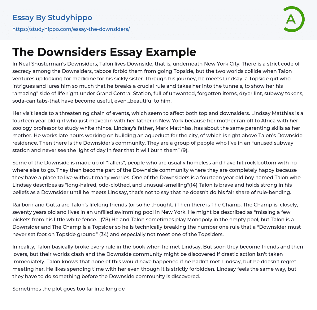 The Downsiders Essay Example