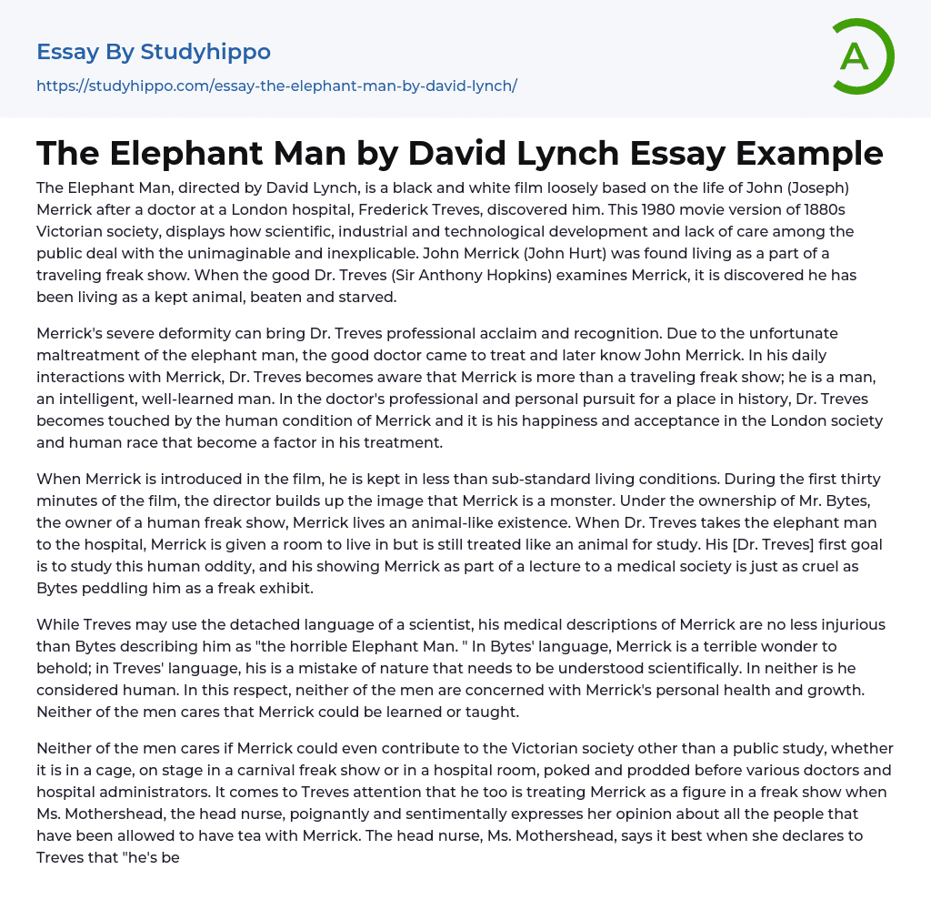 The Elephant Man by David Lynch Essay Example