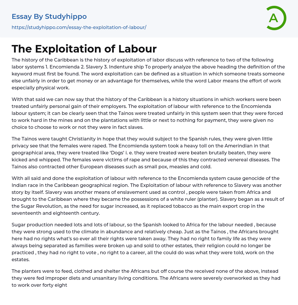 The Exploitation of Labour Essay Example