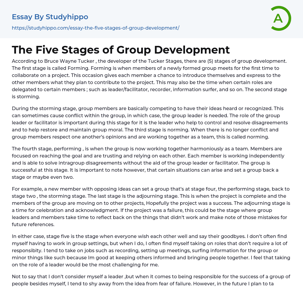 essay about stages of group development