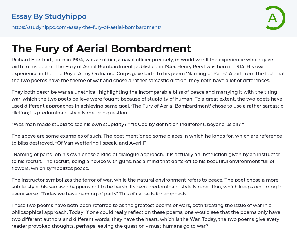 The Fury of Aerial Bombardment Essay Example