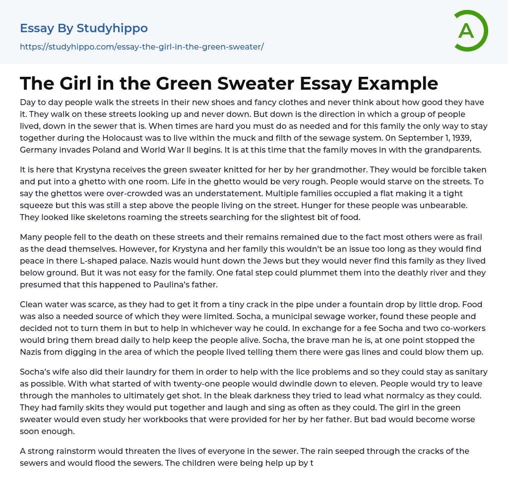 The Girl in the Green Sweater Essay Example