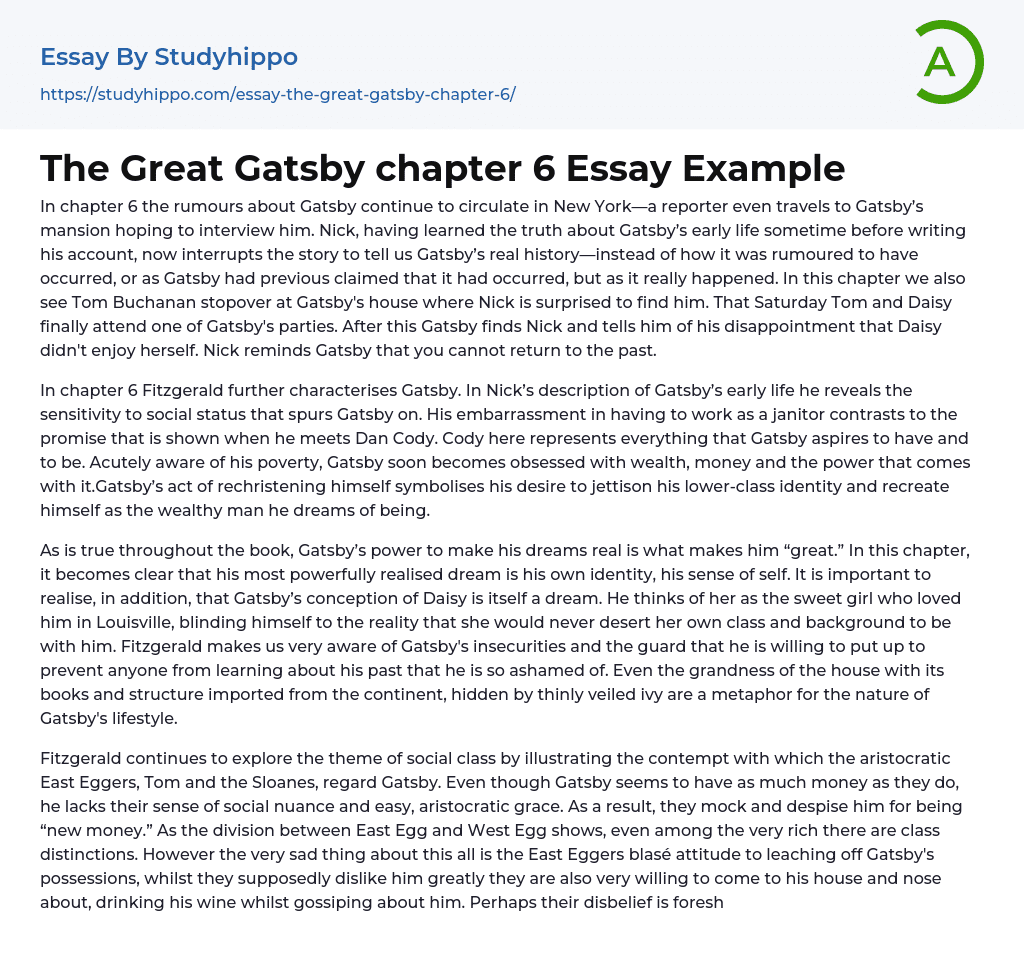 The Great Gatsby chapter 6 Essay Example