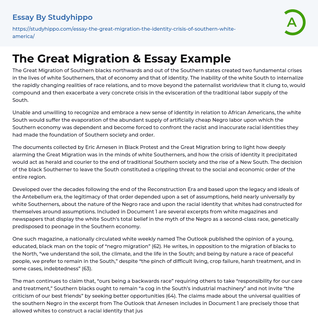 immigration in the 1800s essay
