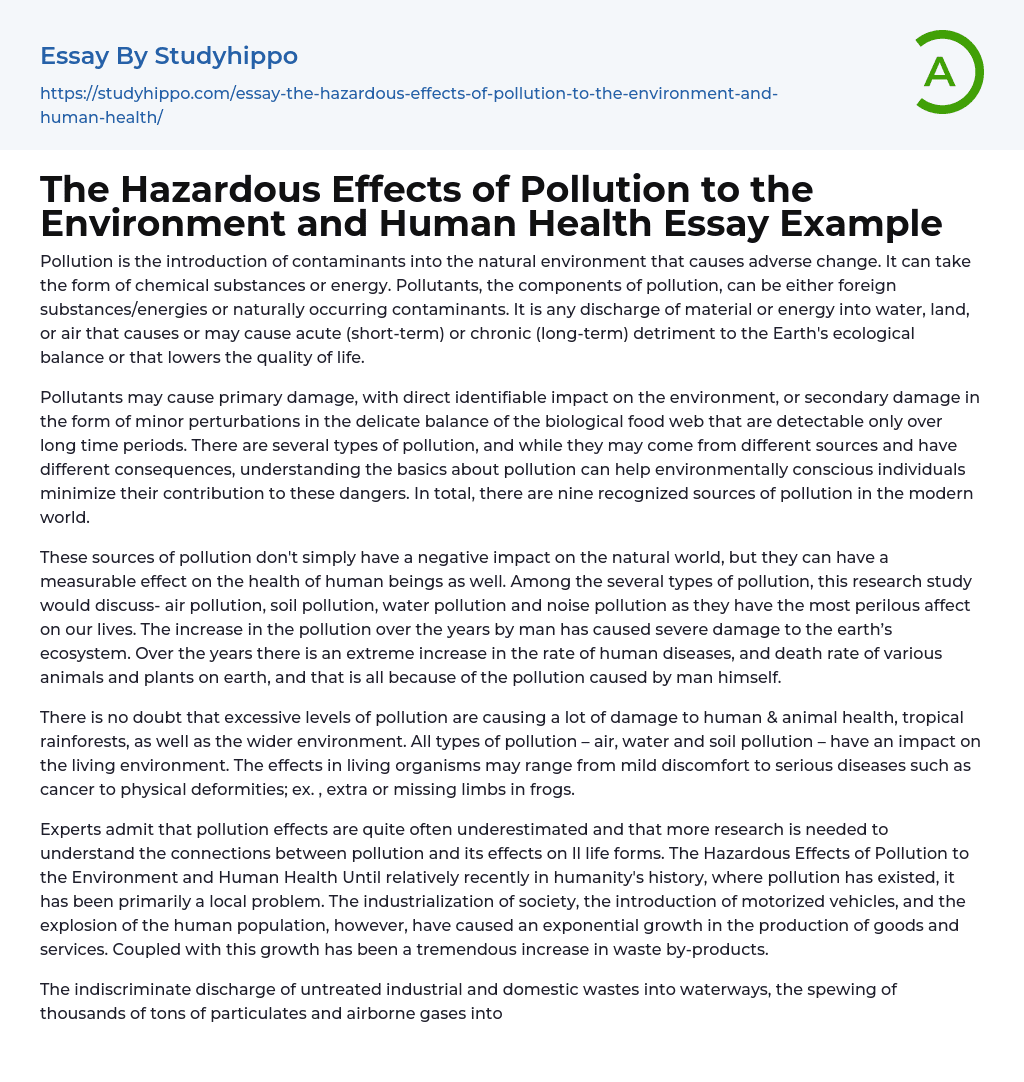 The Hazardous Effects of Pollution to the Environment and Human Health Essay Example