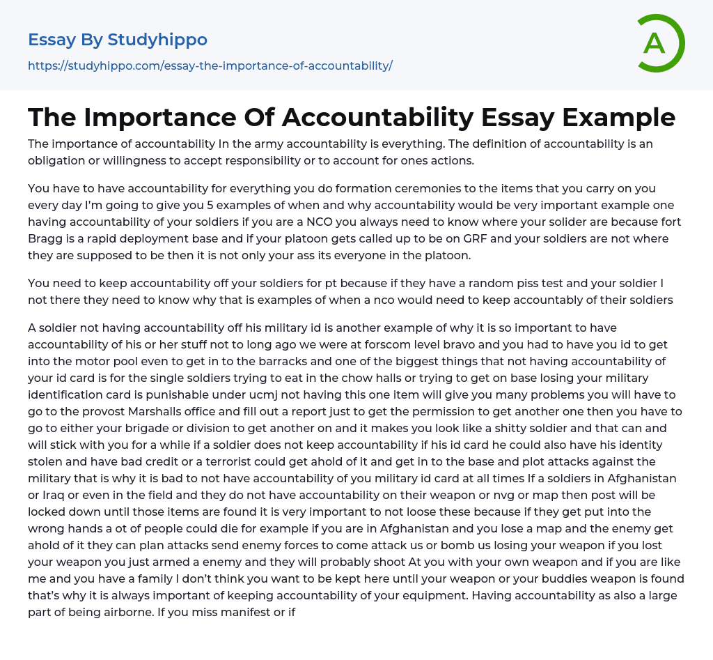 The Importance Of Accountability Essay Example