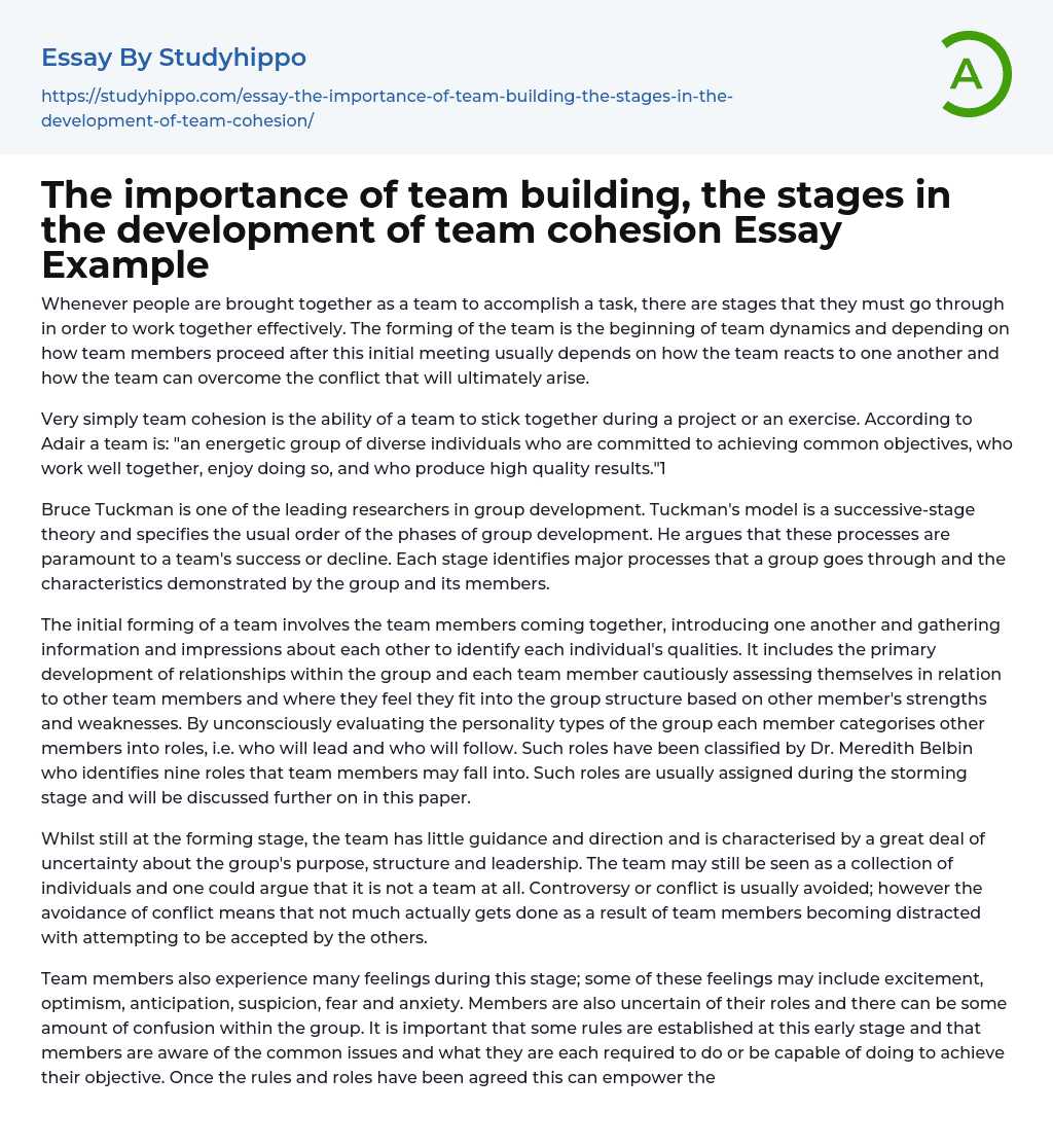 The importance of team building, the stages in the development of team cohesion Essay Example