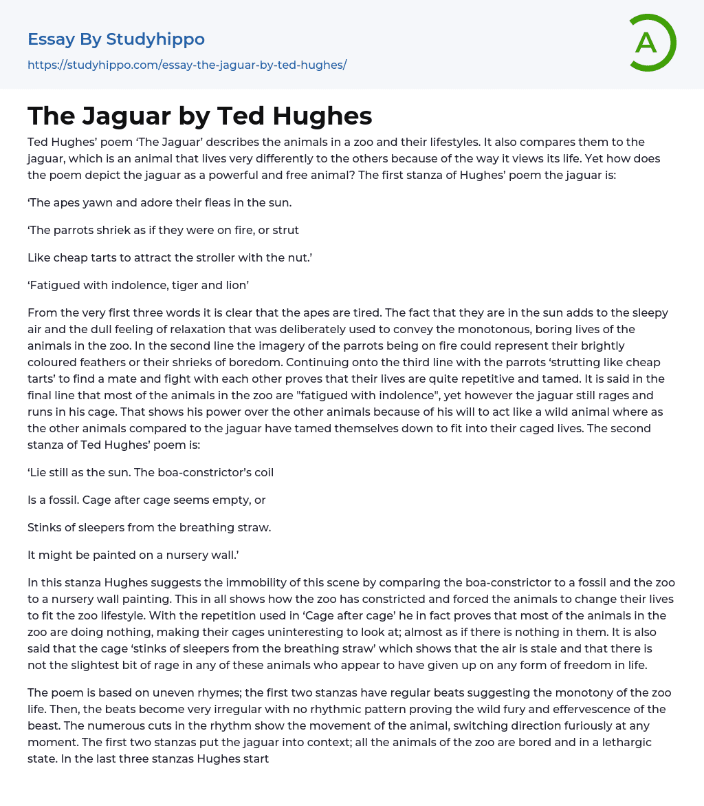 The Jaguar by Ted Hughes Essay Example