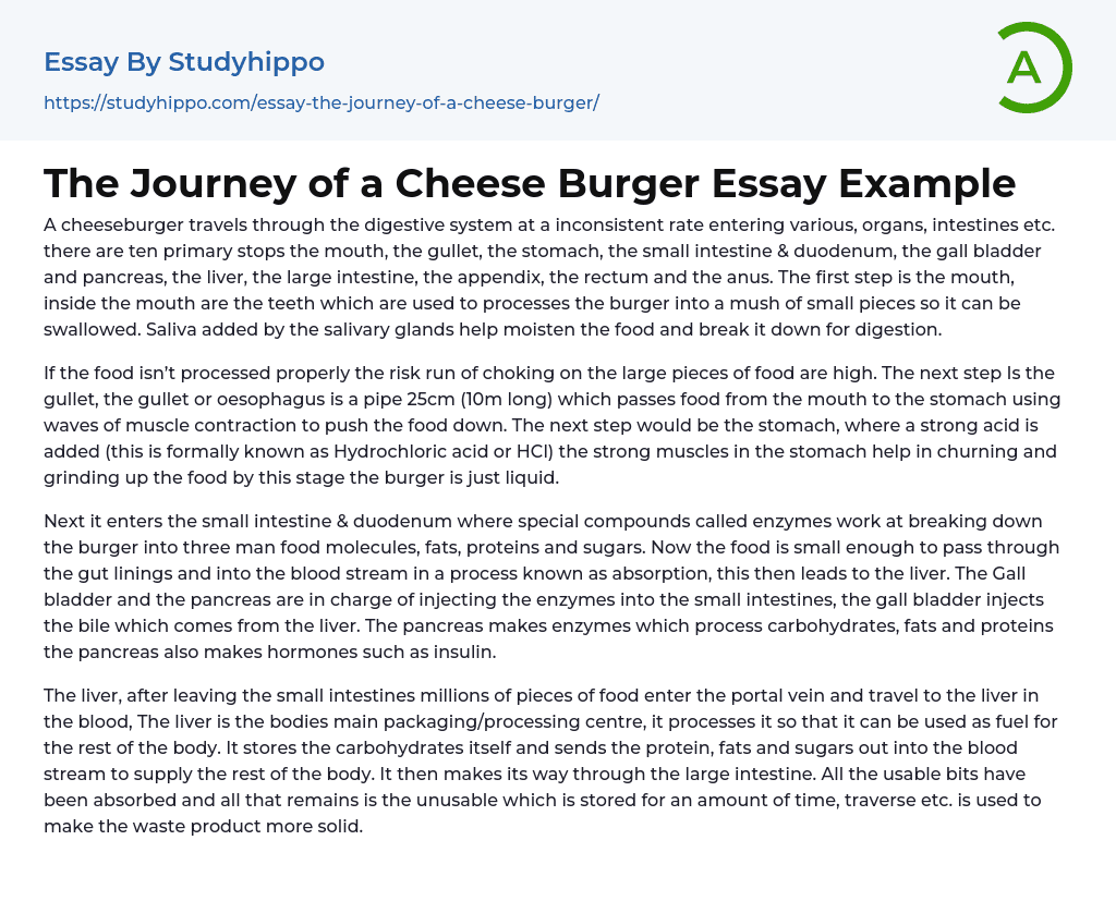 The Journey of a Cheese Burger Essay Example