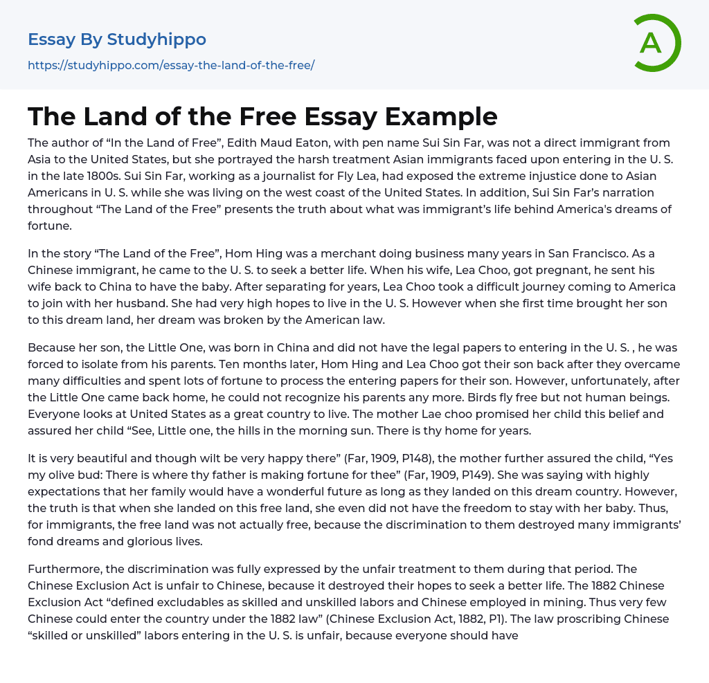 The Land of the Free Essay Example