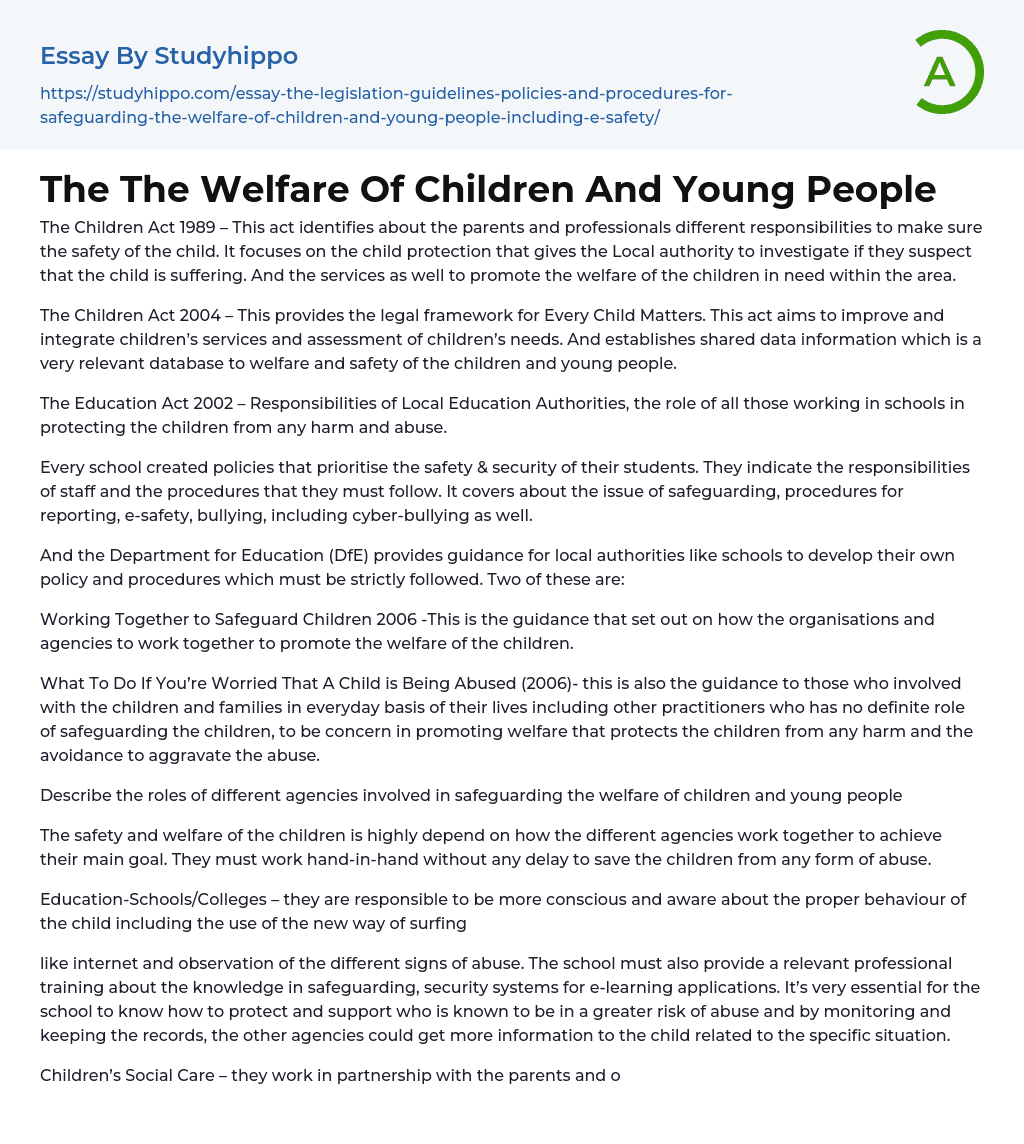 The The Welfare Of Children And Young People Essay Example