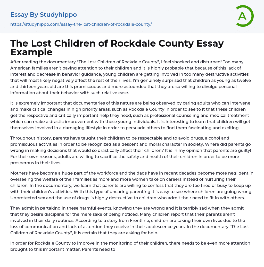 The Lost Children of Rockdale County Essay Example