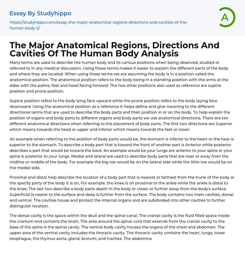 an essay on the human body