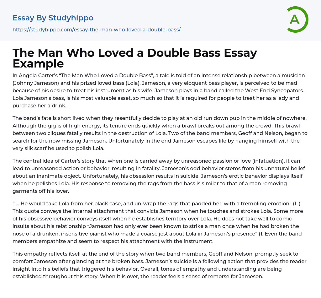 The Man Who Loved a Double Bass Essay Example