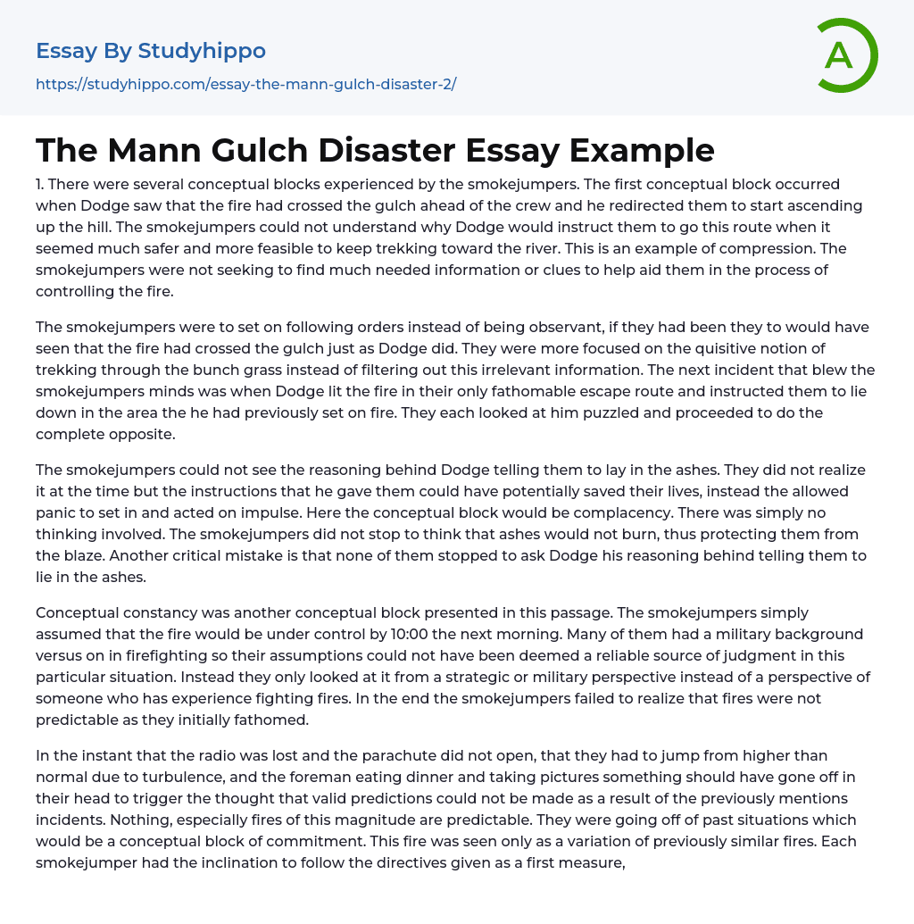 The Mann Gulch Disaster Essay Example
