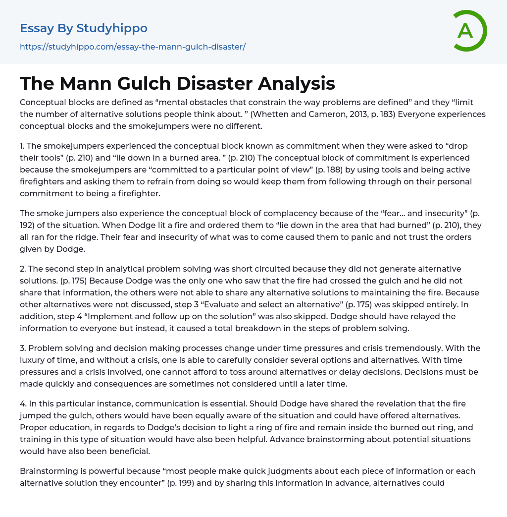 The Mann Gulch Disaster Analysis Essay Example