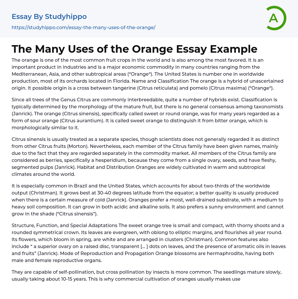 The Many Uses of the Orange Essay Example